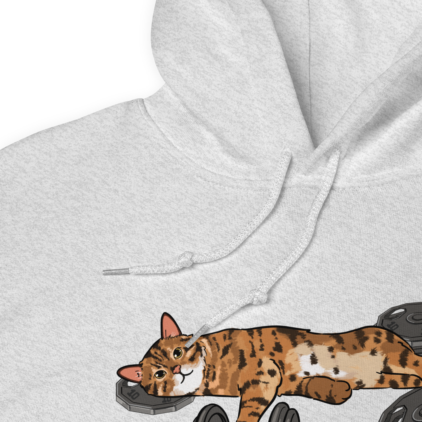 Close-up of lifting cat graphic on hoodie in gray, premium print detail