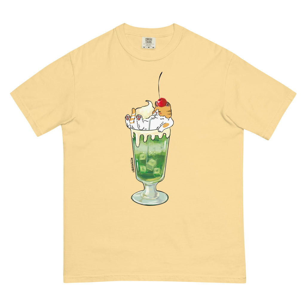 Soda Ice cream summer graphic tee, Funny Cat graphic tee