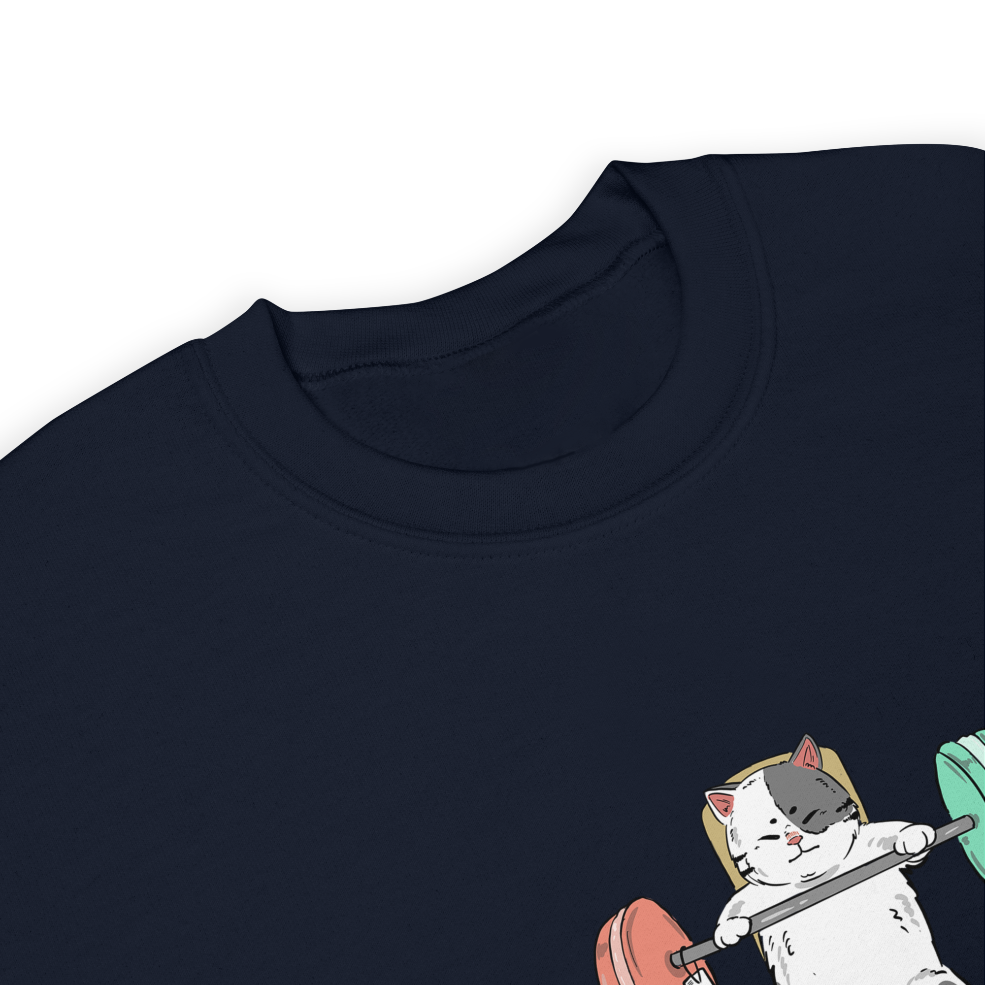 Biceps day Ultra soft Heavyweight sweater, Cat graphic sweater