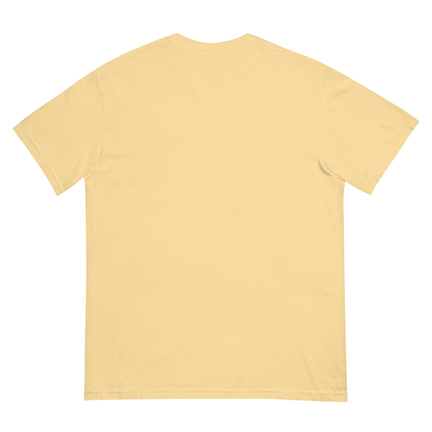 Unisex graphic T-shirt, Kitty skateboard T-shirt, Funny T-shirts