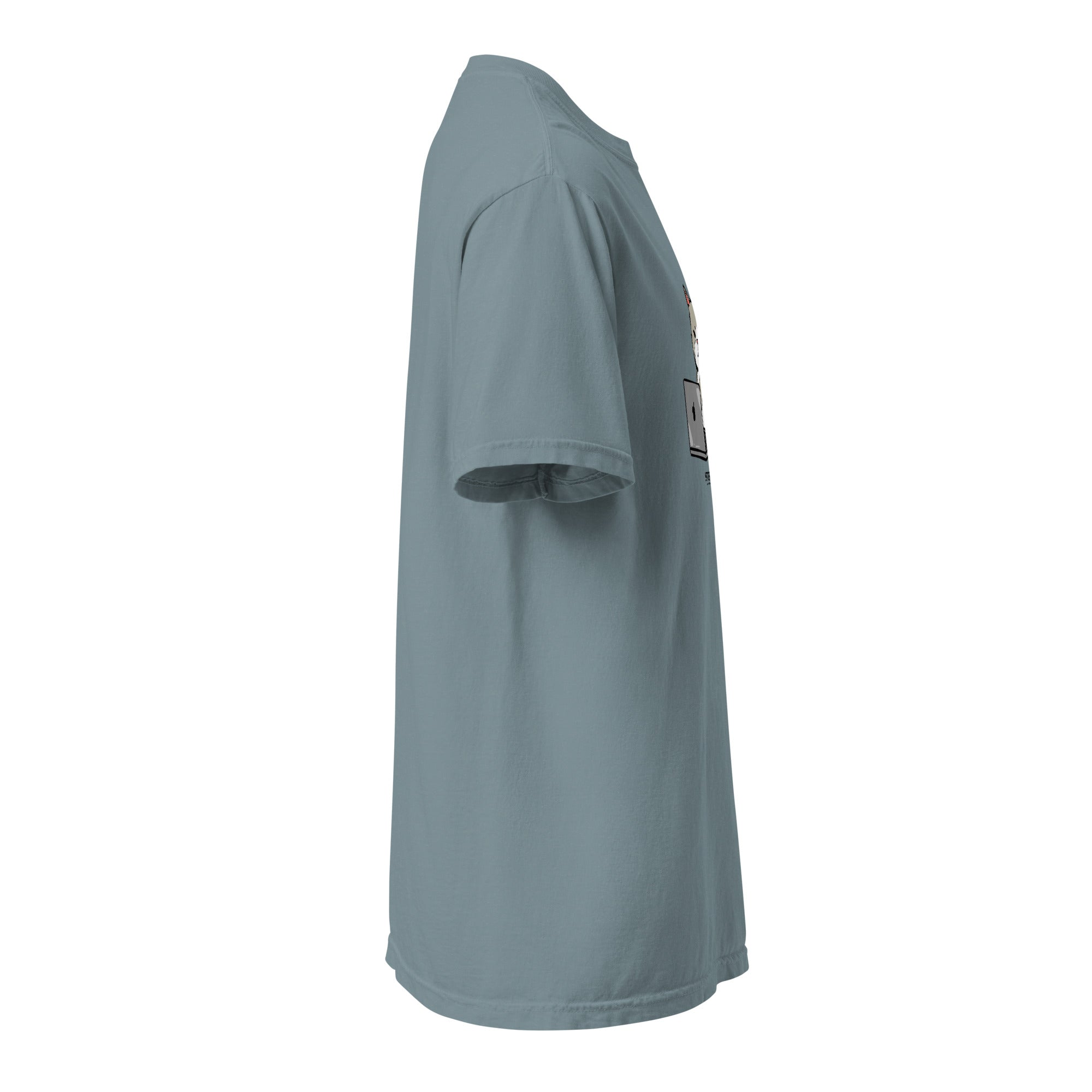 Unisex graphic T-shirt, Cat graphic T-shirt, Smash the day, funny t-shirt