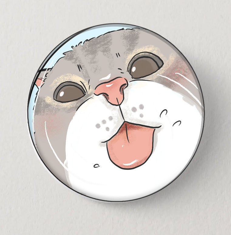 Cat magnetic set, refrigerator decor , home decor