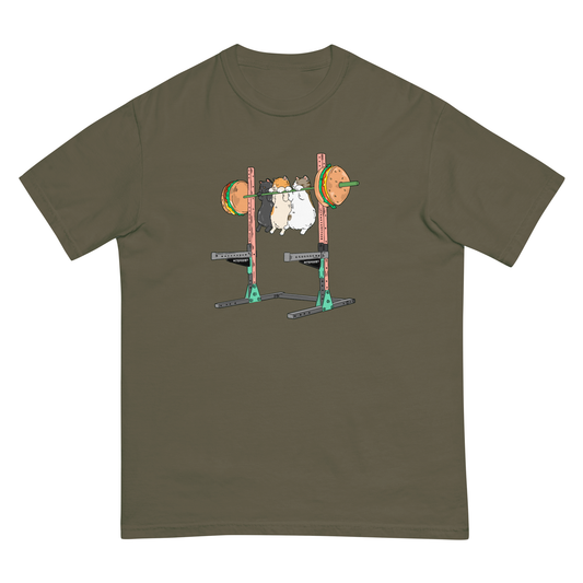 Squat stand challenge Heavyweight Cotton Tee, Cat graphic tees