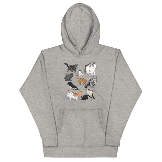 Kitty collection ultra soft hoodie. Cat graphic hoodies